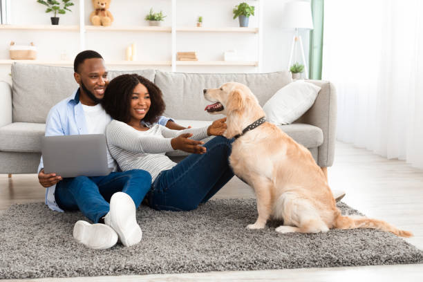 young black couple at home with laptop and labrador - couple home interior laptop computer imagens e fotografias de stock