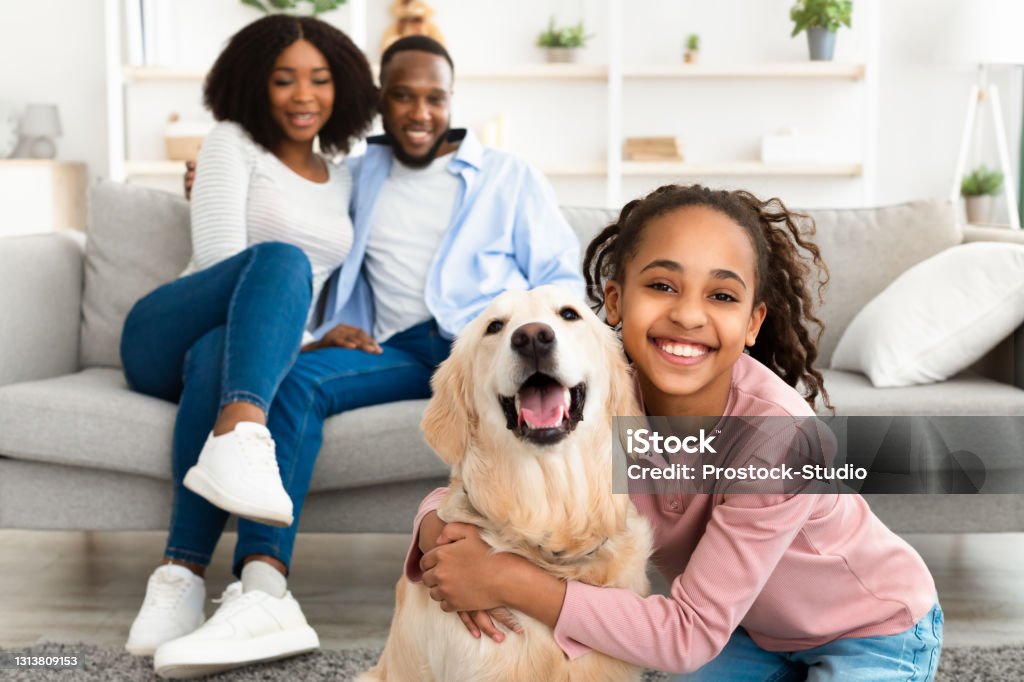 Young black girl hugging with dog posing at home Bonding, Togetherness And Friendship. Portrait of smiling black girl hugging her happy dog in living room at home, looking at camera, cheerful parents sitting on the couch in blurred background Family Stock Photo