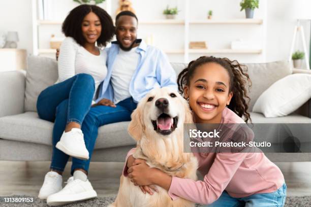 Young Black Girl Hugging With Dog Posing At Home Stock Photo - Download Image Now - Family, Pets, Petting