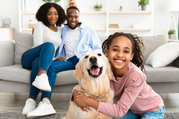 молодая черная девушка обнимается с собакой позирует дома - family dog happiness pets стоковые фото и изображения