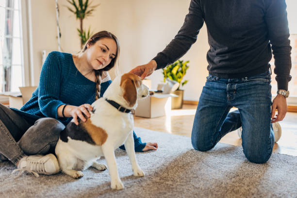 istock Young couple in their new apartment 1313809958