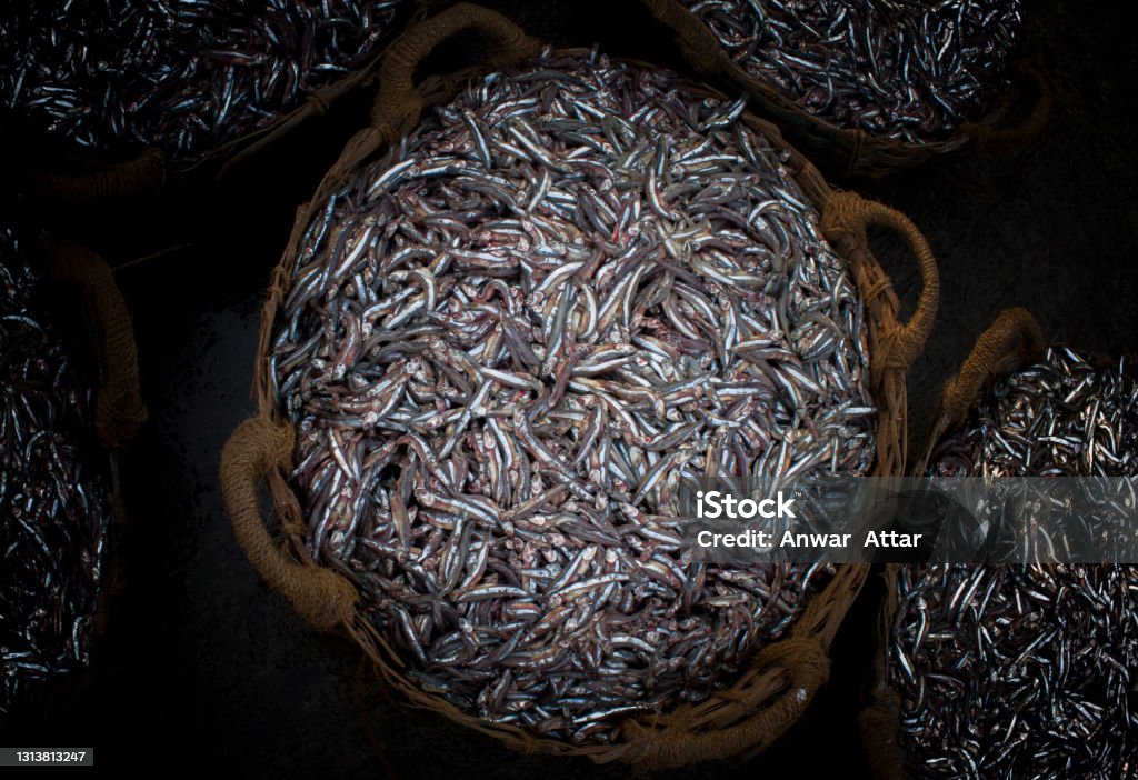Collection of Anchoviella lepidentostole fish in the basket for sale. Anchovy Stock Photo