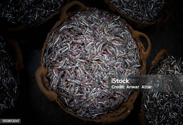 Collection Of Anchoviella Lepidentostole Fish In The Basket For Sale Stock Photo - Download Image Now