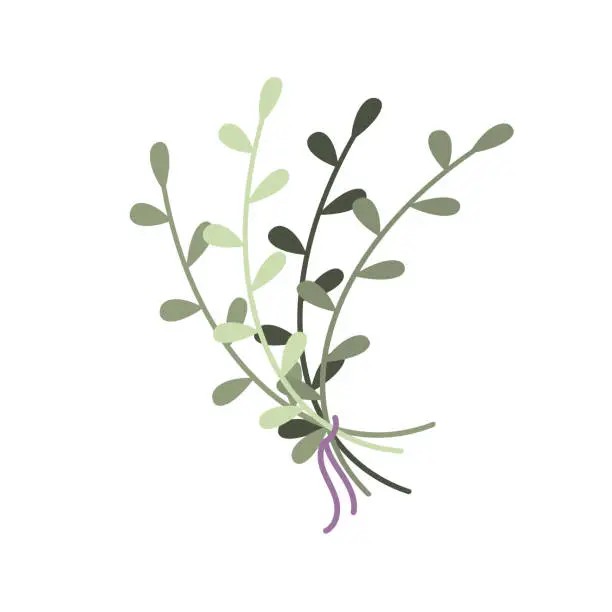 Vector illustration of Isolated bouquet with twigs.