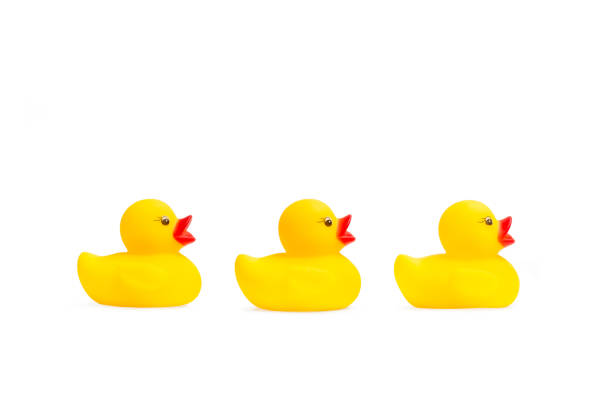 istock Three yellow toy ducks on a white background 1313814992