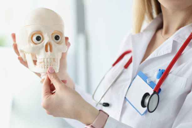 istock Doctor with stethoscope showing jaws on human skull closeup 1313815519