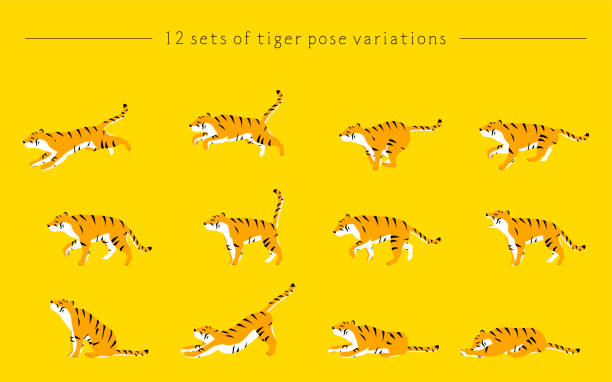 ilustrações, clipart, desenhos animados e ícones de pose de tigre simples, uma série de movimentos do sono para correr, 12 tipos - seated tiger