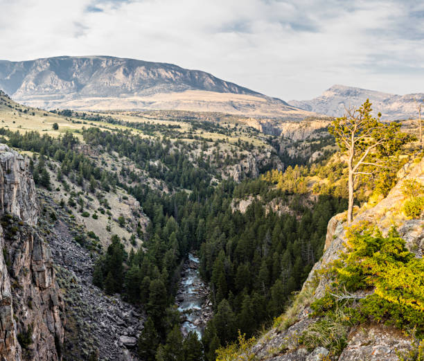 overview from the sunlight bridge, wyoming - yellowstone national park wyoming american culture landscape imagens e fotografias de stock