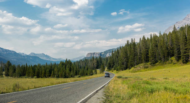 on the road in the lamar valley, wyoming - yellowstone national park wyoming american culture landscape imagens e fotografias de stock