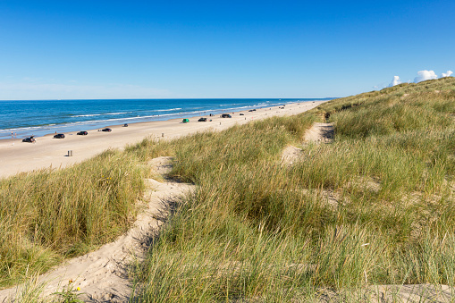 Beach and dunes of Blokhus in the Jammerbugt bay on the Danish North Sea caost