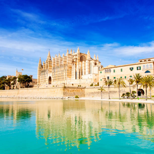 istock Palma de Mallorca Cathedral, Spain 1313818586