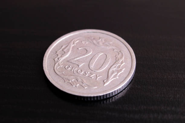 istock Polish coins 1 zloty on a black background 1313819103