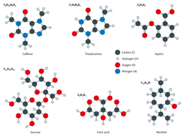 Common Molecules Set Molecular Structure Compounds of Caffeine C8H10N4O2, Theobromine C7H8N4O2, Aspirin C9H8O4, Sucrose C12H22O11, Citric acid C6H8O7, Menthol C10H20O, vector illustration, isolated on white background. caffeine molecule stock illustrations