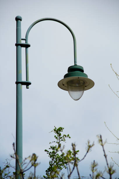 istock Modern Street Light in Springtime Residential District 1313819375