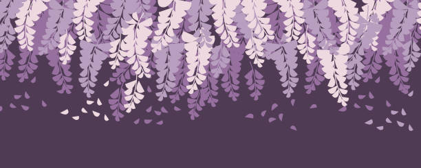 ilustraciones, imágenes clip art, dibujos animados e iconos de stock de flores decorativas de flor de wisteria púrpura - wisteria