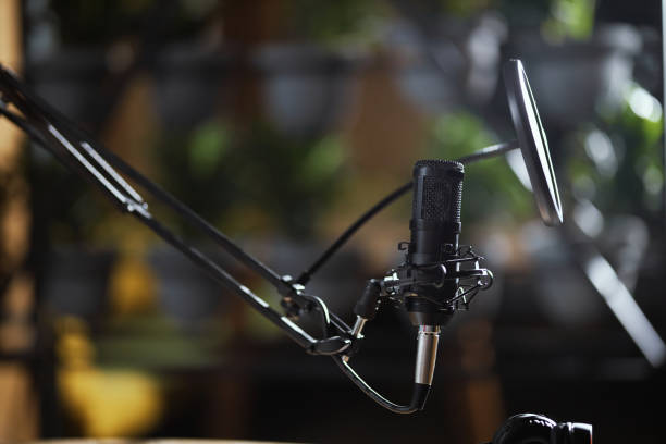 istock Modern black microphone and headphone in music studio. 1313821889