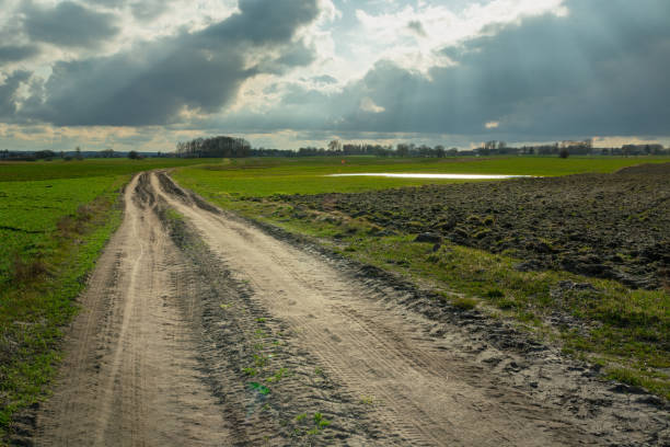 istock Rural road through fields and sunbeams on the sky, Czulczyce, Poland 1313822048