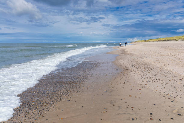 istock Strolling along the beach  on the Danish North Sea coast 1313823428