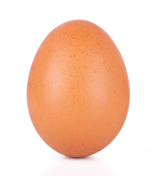 白い背景に分離された1つの茶色の鶏の卵 - 卵 ストックフォトと画像