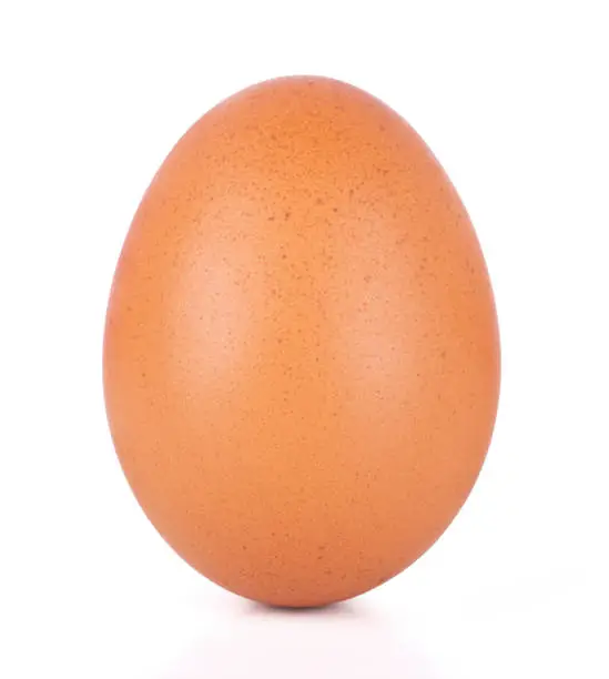 Photo of One brown chicken egg isolated on white background