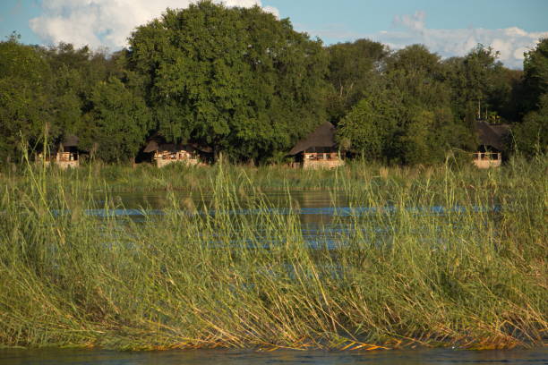 istock Lodge at Okawango river in Namibia in Africa 1313827903