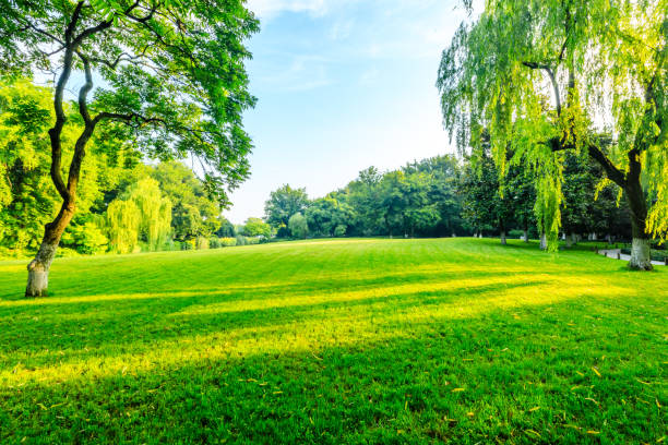 istock Green meadows and woods in spring. 1313830038