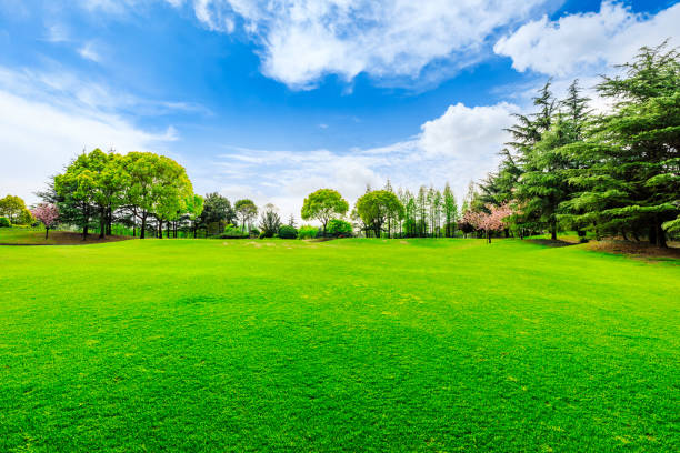 istock Green meadows and woods in spring. 1313830611