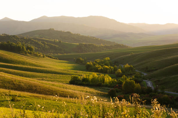 istock Unique sunset landscape. Hills in waves, road and fores 1313831395