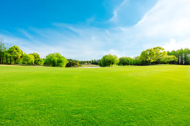istock Green meadows and woods in spring. 1313831963