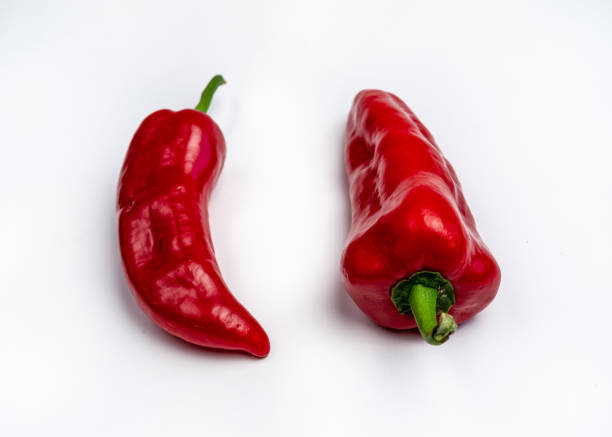 Red Mini Peper 2,000+ Mini Red Peppers Stock Photos, Pictures & Royalty-Free Images ...