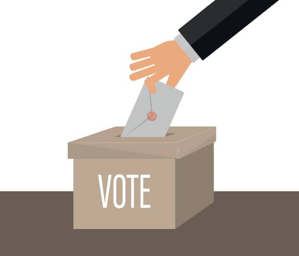 istock The person who voted for the election. Vector ballot box. 1313834484