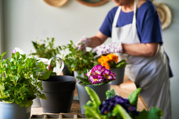 istock Table full of freshly planted potted plants 1313835843