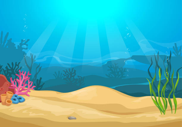 ilustrações de stock, clip art, desenhos animados e ícones de vector cartoon colorful underwater landscape with sea plants and corals - bottom sea