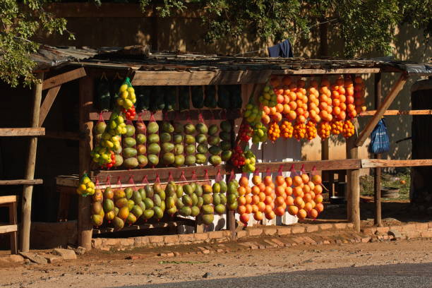 istock Fruit stand in Satara in South Africa 1313842671