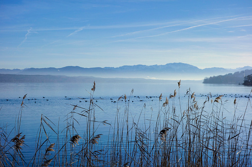 View of Lake Starnberg near Bernried, Bavaria, Germany, Europe