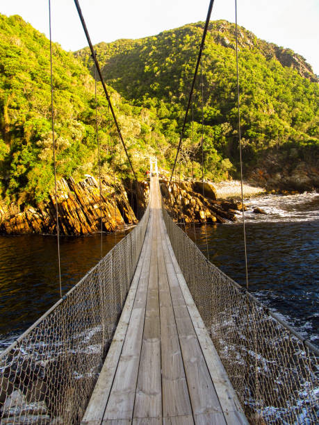 istock Looking down the Stormsriver Mouth Suspenpension Bridge 1313849466