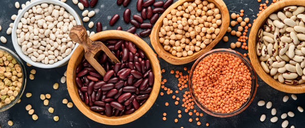 Legumes, red lentils, chickpea, red and white beans assortment in different bowls on dark black table. Diet for weight loss and fight against cholesterol concept. Top view with copy space. Legumes, red lentils, chickpea, red and white beans assortment in different bowls on dark black table. Diet for weight loss and fight against cholesterol concept. Top view with copy space. tarragon horizontal color image photography stock pictures, royalty-free photos & images