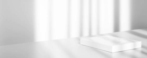 istock Abstract empty white podium on white background with shadow. Mock up stand for product presentation. 3D Render. Minimal concept. Display product. Banner 1313850757