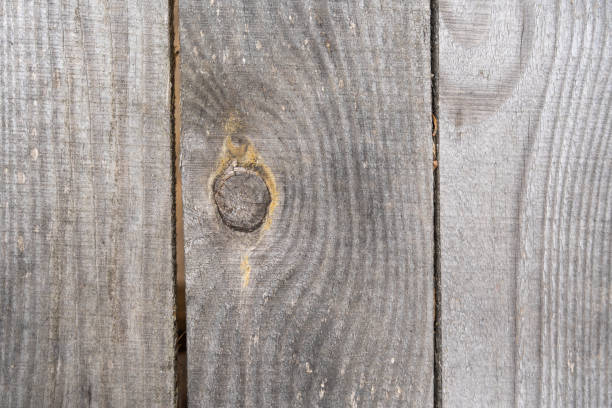 istock real grey natural organic wooden abstract background 1313851321