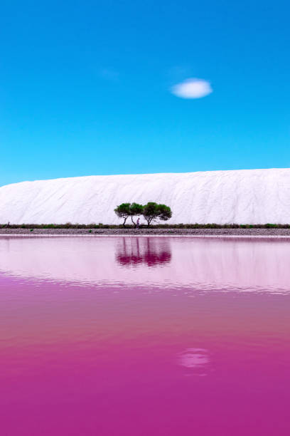 サリン・デ・エイグ=モルテスの旅行写真 - salt pond ストックフォトと画像