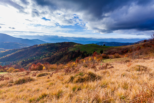 Autumn landscape in the Black Forest. Nature with forests and hills.
