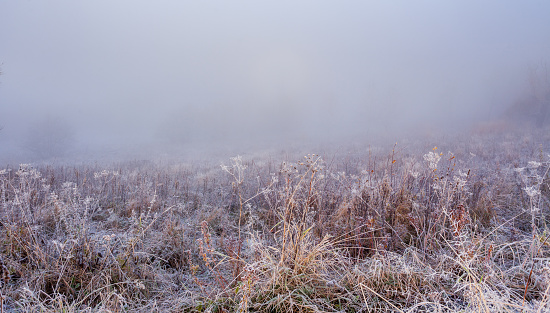 Field in the fog. Frozen grass on the field at cold winter morning. Grass covered with white frost. Beginning of winter. Frosty sunny morning. Ice on meadow. Ice crystal on a meadow.