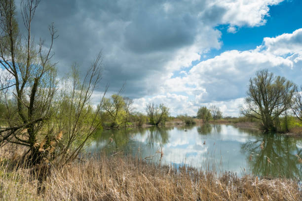 istock Typical river or polder landscape in The Netherlands on a sunny day 1313854917