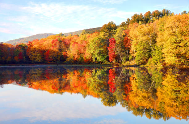 istock Bray Lake in the Mount Tom State Reservation 1313855080