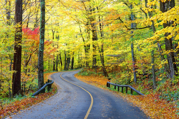 istock Auto Road on Mount Greylock in the Berkshires 1313855102