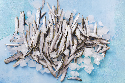 Frozen  sprats on ice  on blue background. Frozen whole fish stacked upon each other sitting under and on ice. top view, blank space
