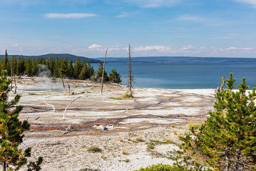 Yellowstone National Park, Teton County, Wyoming, United States. West Thumb Geyser Basin with Yellowstone Lake in the background.
