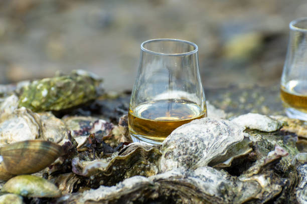 proeverij van single malt of blended schotse whisky en zeebodem bij eb met algen, stenen en oesters op de achtergrond, privé whisky tours in schotland, vk - spey scotland stockfoto's en -beelden