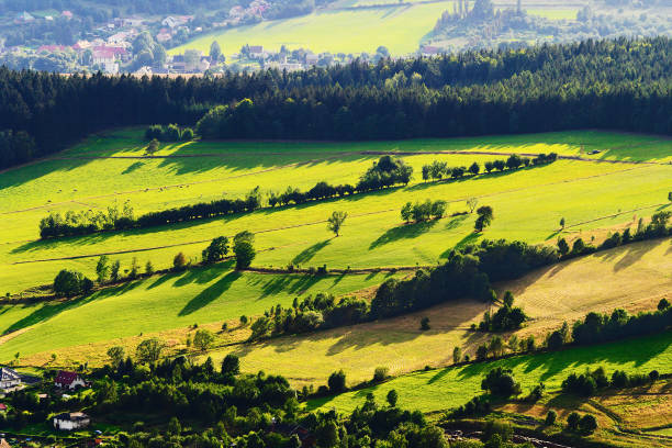 scena rurale nei monti gufi, polonia. - poland rural scene scenics pasture foto e immagini stock