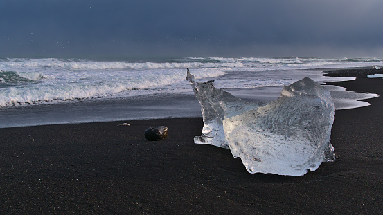 Beautiful small iceberg with clear ice surface on diamond beach near Jökulsárlón and ring road in south Iceland in evening sunlight with the rough Atlantic ocean in background. Focus on ice.